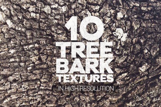 1 Tree Bark Textures Vol 1 x10 (2340)
